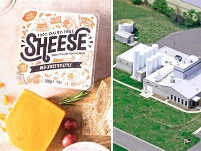 Obtaining the Cheese: Strategies for Success in Acquisition of Dairy Goods