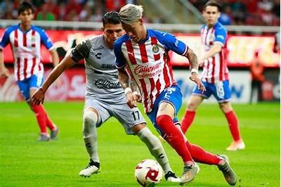 A Comprehensive Review of Trustpilot Ratings for Interwetten Online Betting Platform