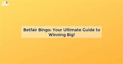 Discover Unibet Bingo: Exciting Games, Big Wins, and Thrilling Fun Await You Online