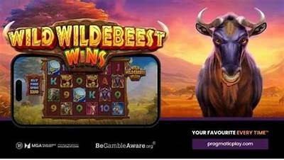 Discover Exciting Games and Big Wins at Willbet Casino Slots Today
