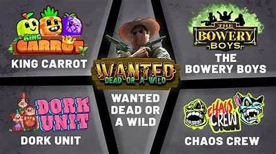 Exploring Hacksaw Gaming Slots in Indonesia: A Guide to Top Games and Features