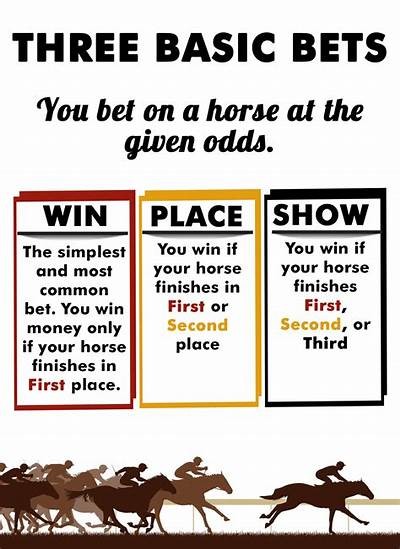 Exploring Willbet Betting Options: Strategies for Success and Insights on Online Gambling