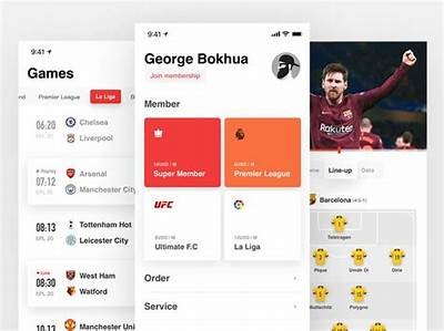 Experience Real-Time Action with Willbet Soccer Live Updates and Features