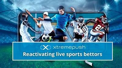 Experience Real-Time Action with Willbet Soccer Live Updates and Features