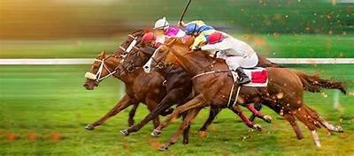 Top 10 Best Horse Racing Betting Sites for Thrilling Wagering Experiences in 2023