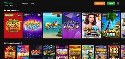 The Best Casino Games to Play for Winning Real Money 在线玩真钱的最佳赌场游戏