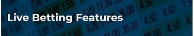 Explore the Exciting Features and Benefits of WillBet Live Betting Platform Today