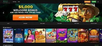 Reliable Online Casino That Pays Instantly and Offers Fast Withdrawals for Players